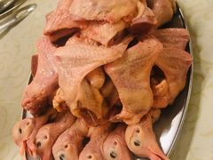 -百利鸽王(紫薇路店)