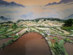 -中国湿地博物馆
