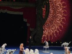 -珠海横琴长隆《卡卡虎奇遇记》