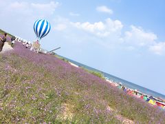 -渔岛海洋度假区