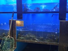水产区-蟹小姐节气生鲜·年货(高新店)