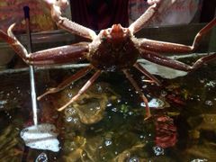 -蟹之国·精品蟹料理(极地店)