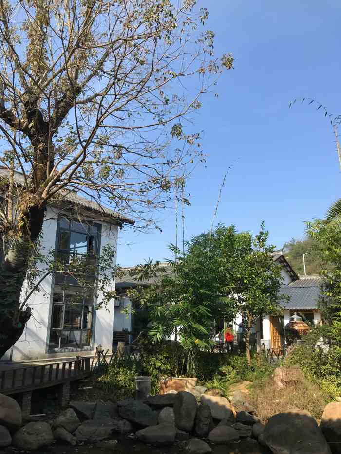 小竹林农庄-"环境好,味道不错!就是感觉服务员少,经常.