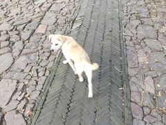 -雨花胜境