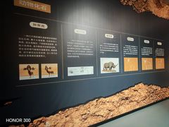 -北京周口店北京人遗址博物馆
