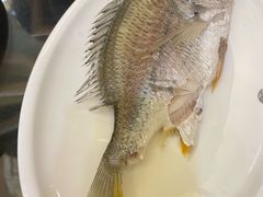 -吴记富苑(朝阳店)