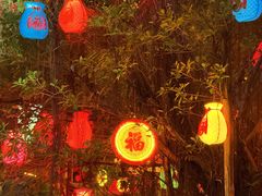 -长鹿旅游休博园