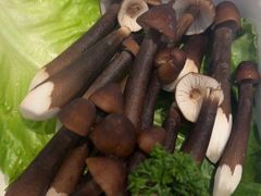 -千牛将·鲜牛肉火锅(开元路店)