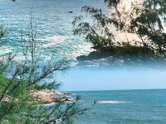 -广东惠东海龟国家级自然保护区