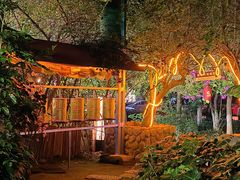 -月亮眼花园餐厅书吧酒吧