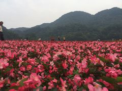 -广州市石门国家森林公园