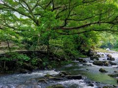 -广州市石门国家森林公园