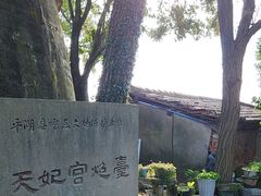 -汤山公园