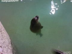 Photo-0210-绿色时代大酒店