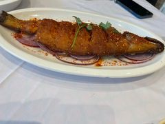 -凯鸽酒楼(操场城店)