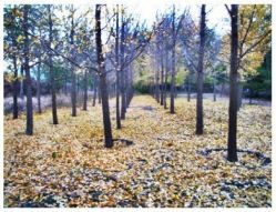 点击看大图 景点-大望京儿童游乐场