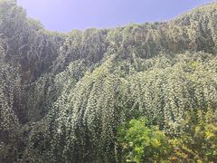 -成都当代影像馆
