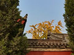 -大慈恩寺(大雁塔)