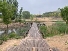 -马家湾湿地公园