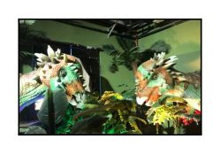 -恐龙探索乐园(磁器口店)