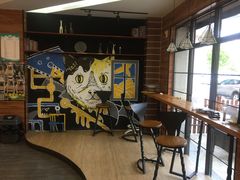 -美联众合宠物医院·爱萌分院·内外科·猫科中心