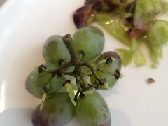 餐前水果-金海华·悦食东方(苏州中心商场店)