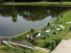 -普陀山风景名胜区-千步大沙