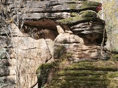 -汤旺河林海奇石景区