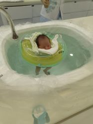 -宝生月子中心(独栋园林·福田店)