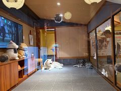 -大江户·温泉洗浴(浑南店)
