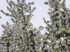 -北京明城墙遗址公园