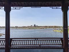 -上海海湾国家森林公园