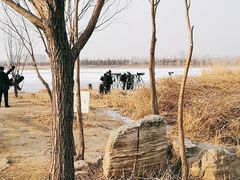 -绿堤公园