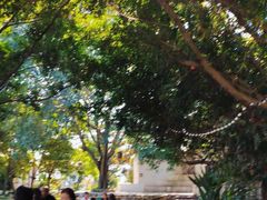 -悦哉·派对·草坪婚礼·围炉煮茶(三圣乡店)