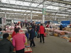 -重振华中蔬菜批发市场(重庆中路店)