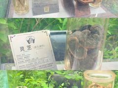 -广州神农草堂中医药博物馆