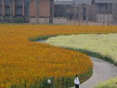 -中国天府农业博览园