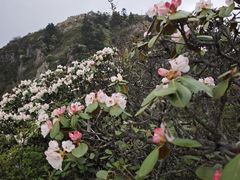 -九峰山