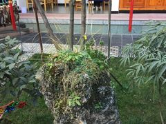 -翕庐小苑