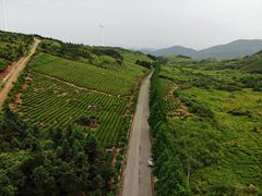 -东白山