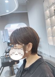 -蚂蚁造型沙龙