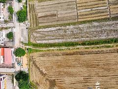 -崖口云吞(中堡店)