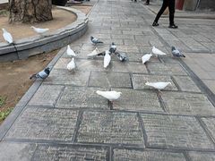 -潭柘寺景区