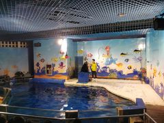 -太平洋海底世界