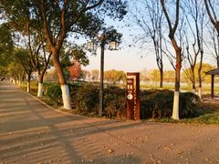 -金银湖国家城市湿地公园