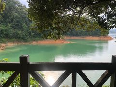 -广州市流溪河国家森林公园