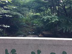 -杭州半山国家森林公园