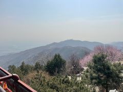 -香山公园