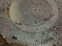 -大孩龙虾(体育场旗舰店)