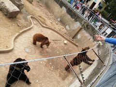 -无锡动物园·太湖欢乐园
